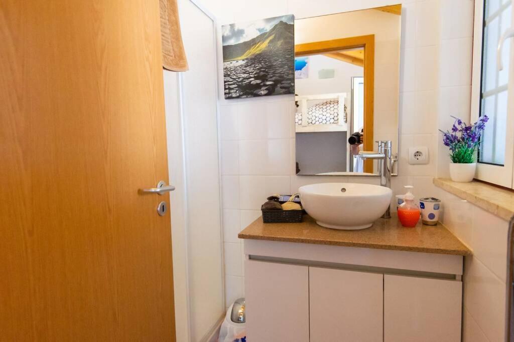 Greenescapes I Porto Covo Eksteriør billede